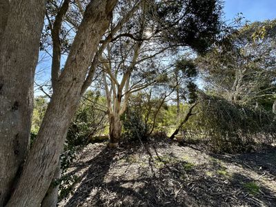 1705 CANUNDA FRONTAGE ROAD, Tantanoola