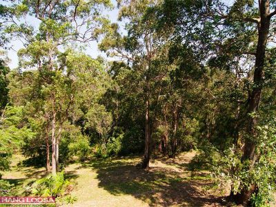 25 Mackay Court, Tinbeerwah