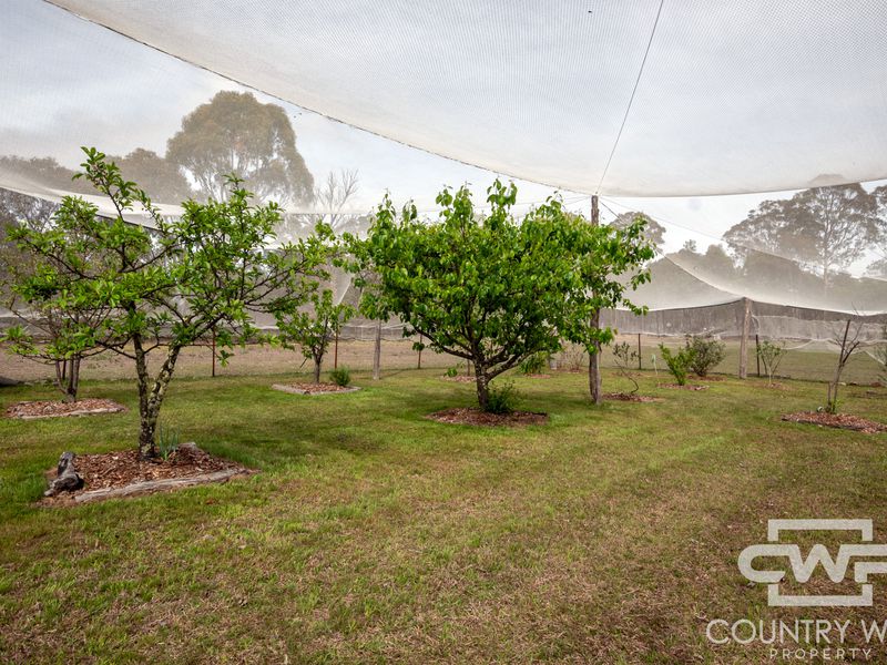 40 Catarrh Creek Road, Torrington
