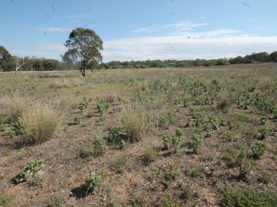 76 DEPOT ROAD, Merriwa