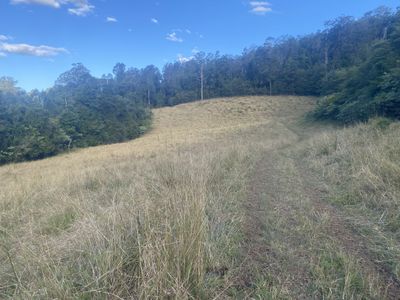 Lot 94, 2667 Pappinbarra Road, Pappinbarra