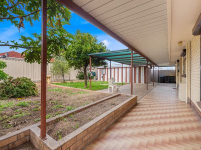 18 Andrea Avenue, Newton