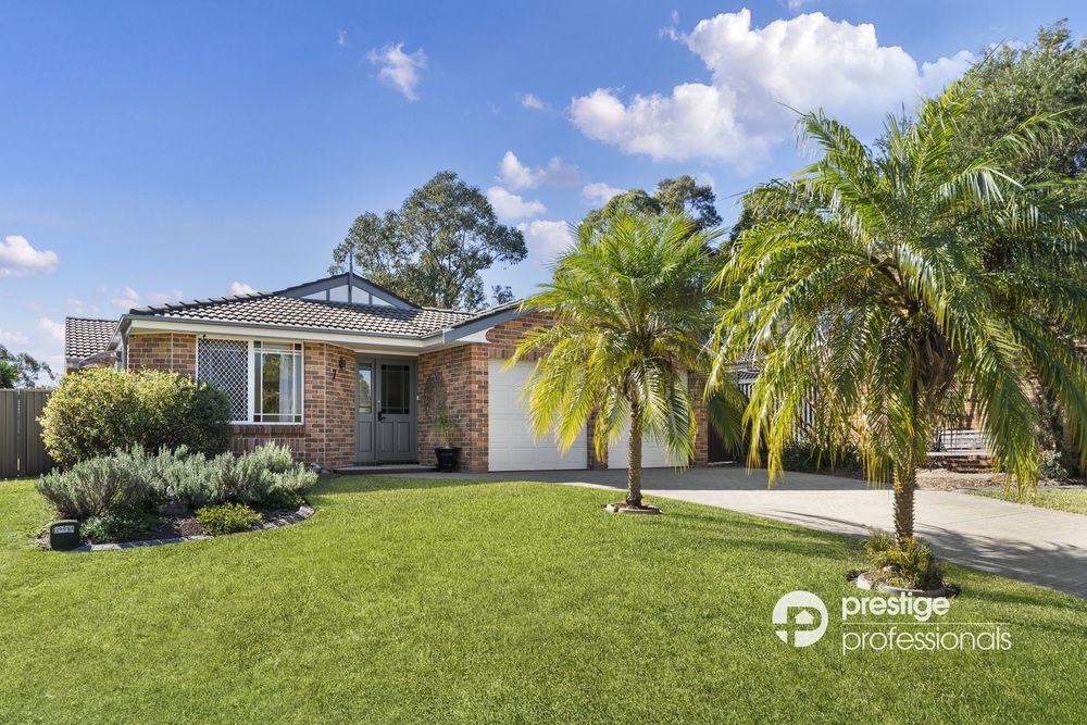 7 Wollemi Court, Wattle Grove