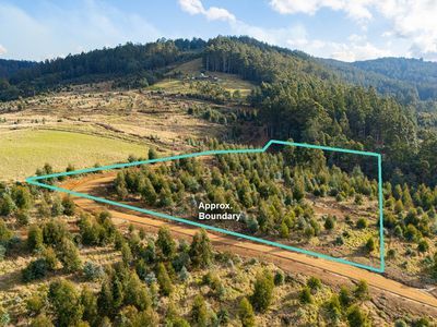 Lot 6 Paddys Lane, Franklin