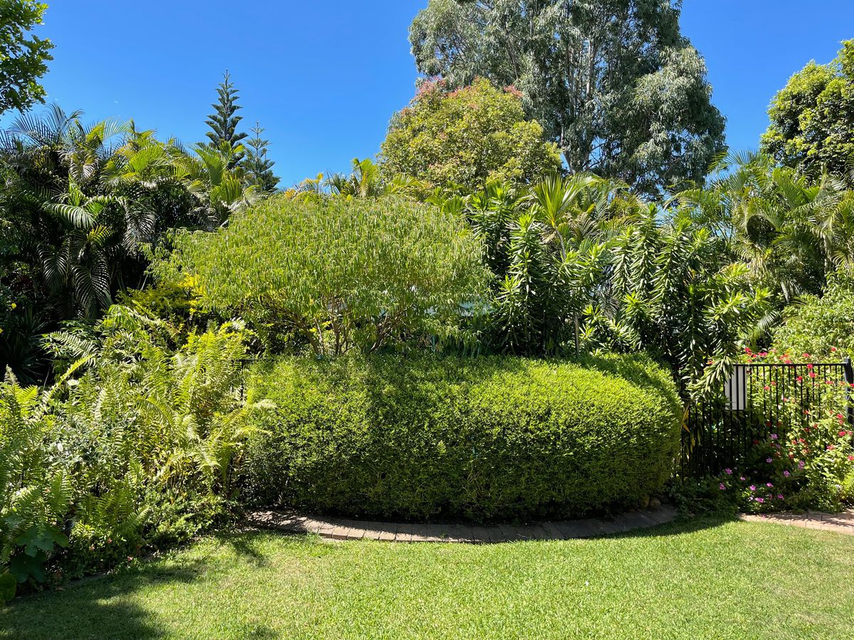 14 Austin Court, Point Vernon