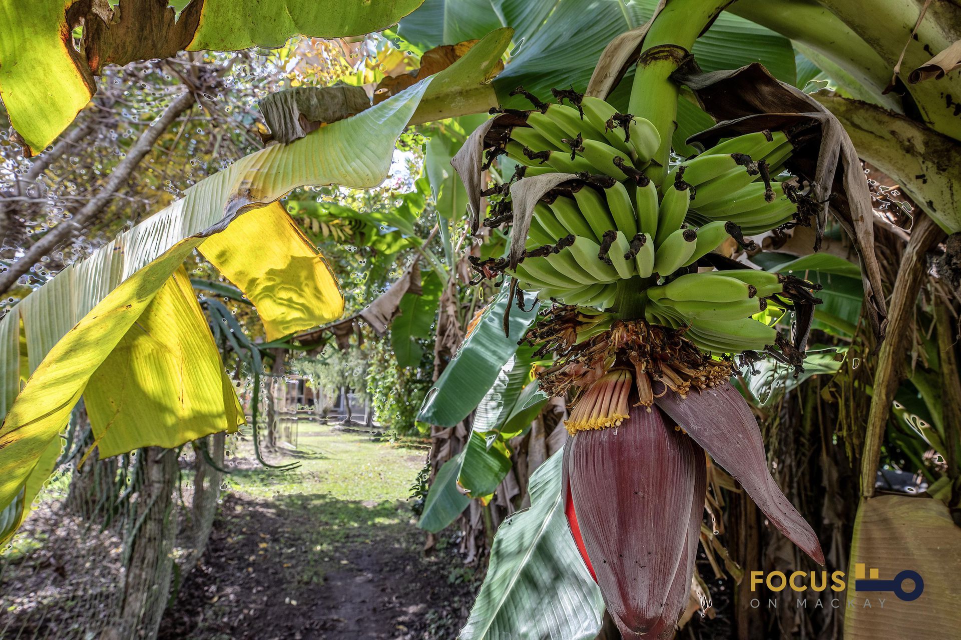 26 Austin Road, Victoria Plains