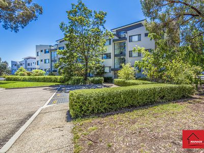 157 / 395 Antill Street, Watson