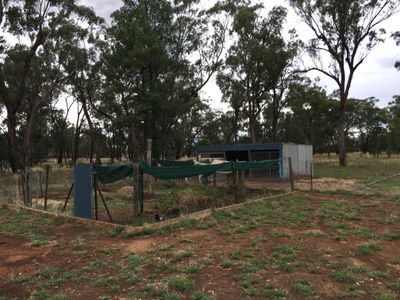 6-8 Namoi Street, Boree Creek