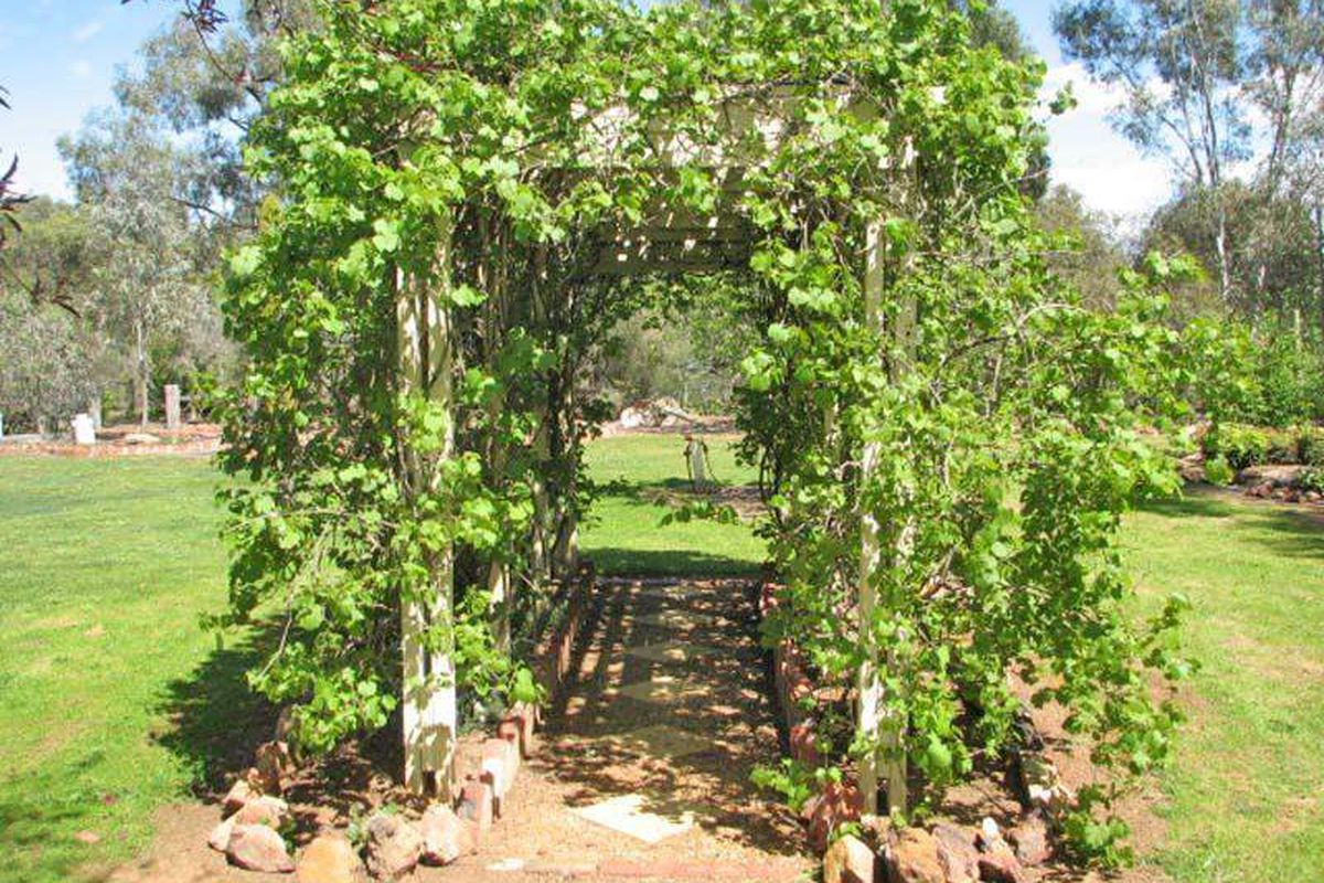 11 Aldersyde Drive, Kyabram