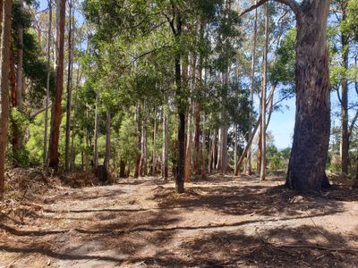 Lot 4 Holmes Road, Ellendale