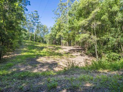 80 Robb Road, Lillian Rock