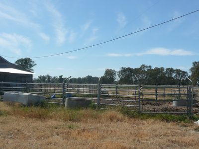 562 Murrabit Koondrook Road, Koondrook