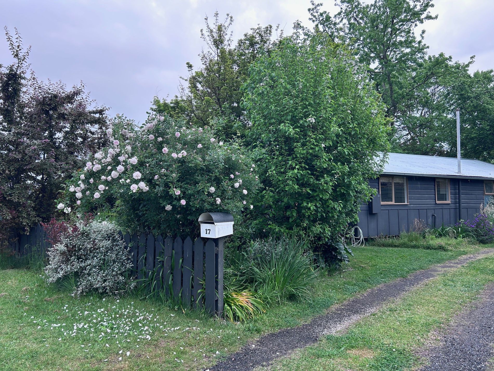 17 Freeburgh Avenue , Mount Beauty