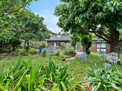 48 St George Avenue, Vincentia