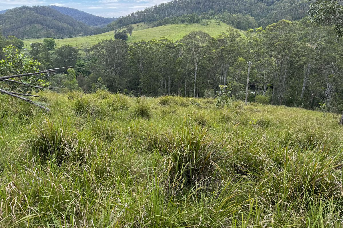 3461 Nowendoc Road, Caffreys Flat