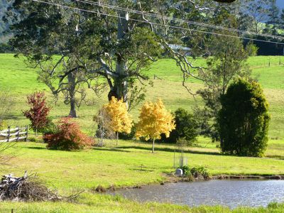 1505a Kangaroo Valley Road, Kangaroo Valley