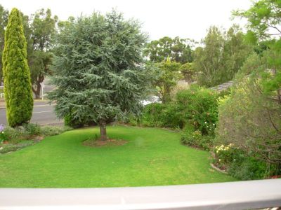 15 O'Halloran Terrace, Mount Gambier