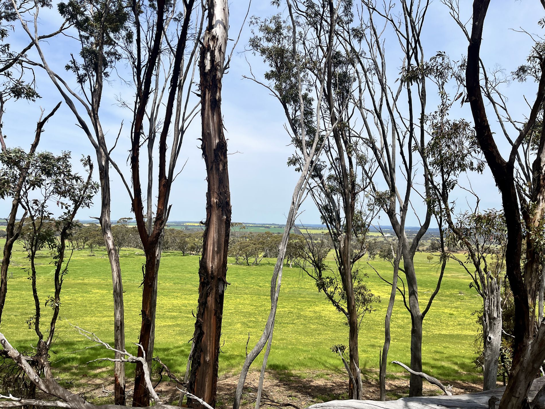 547 Bunmulling Road, Popanyinning