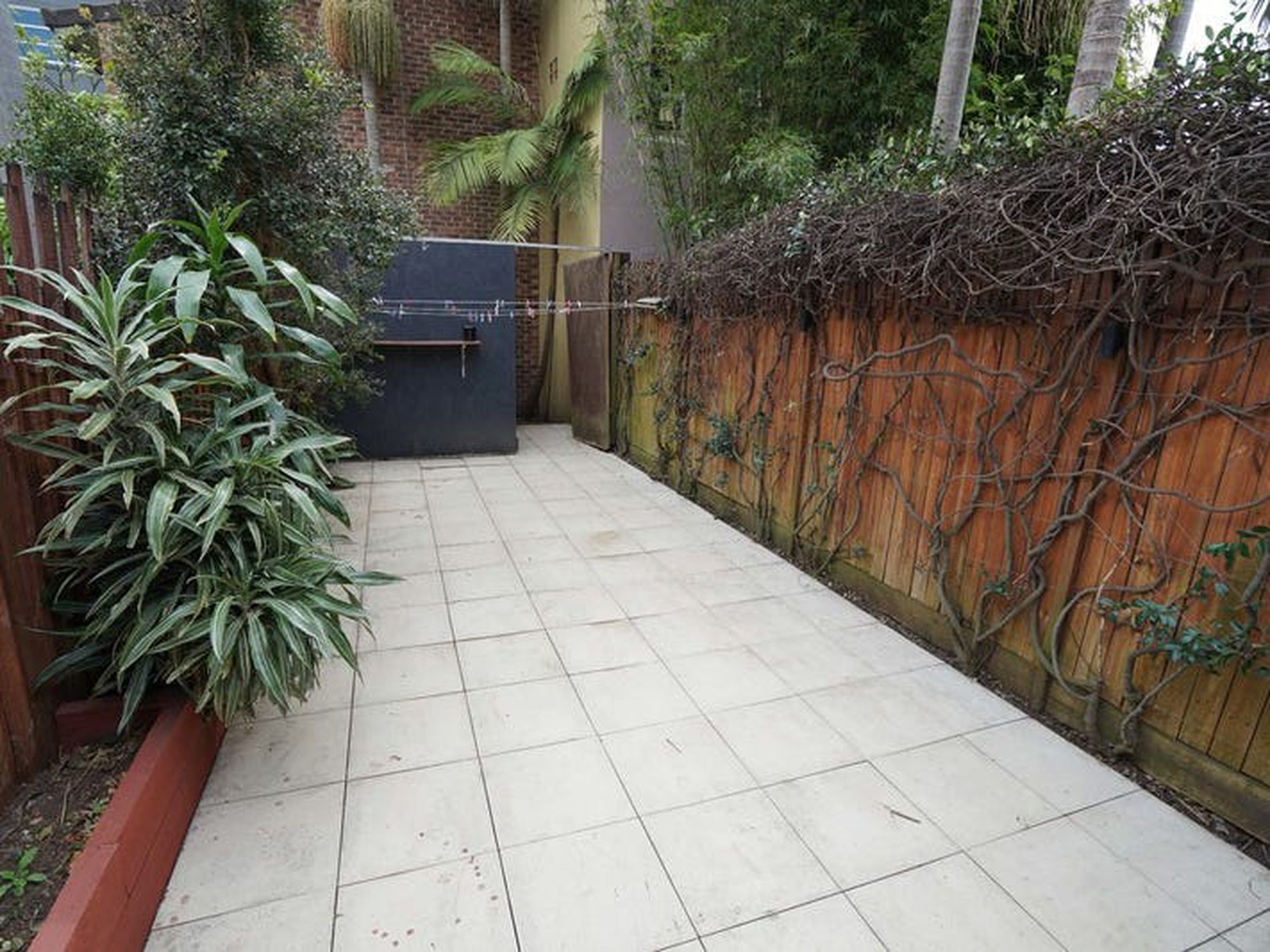 55 Waterloo Street, Surry Hills