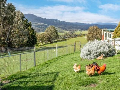 38 Seventh Day Road, Glen Huon