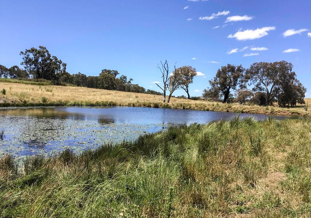 Lot 101 Strathmore Lane, Molong