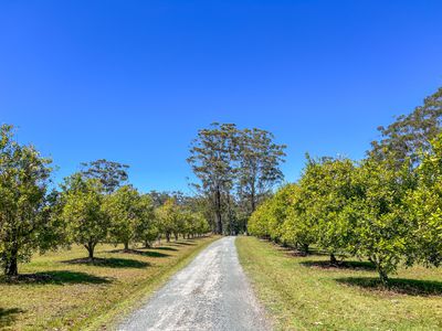 323 Blackhead Road, Hallidays Point