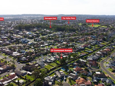 37 Cormorant Avenue, Hinchinbrook