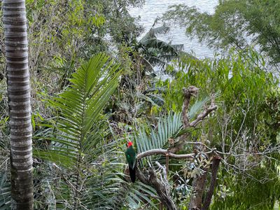 166 Broadwater Esplanade, Bilambil Heights