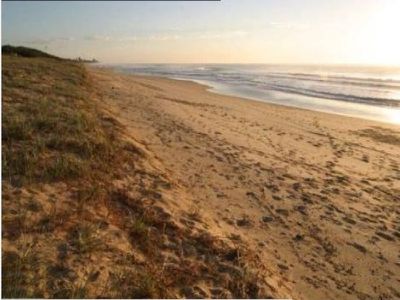53 Oceanic Drive, Warana