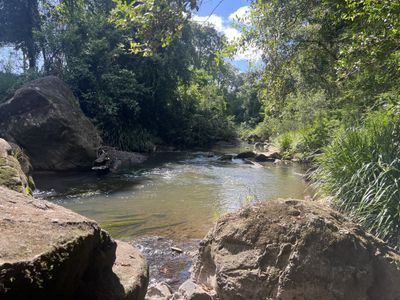1855 Nimbin Road, Coffee Camp