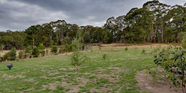 24 Baldhill Lane, Strathbogie