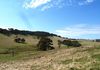 Lot 2, 660 Icely Road, Orange