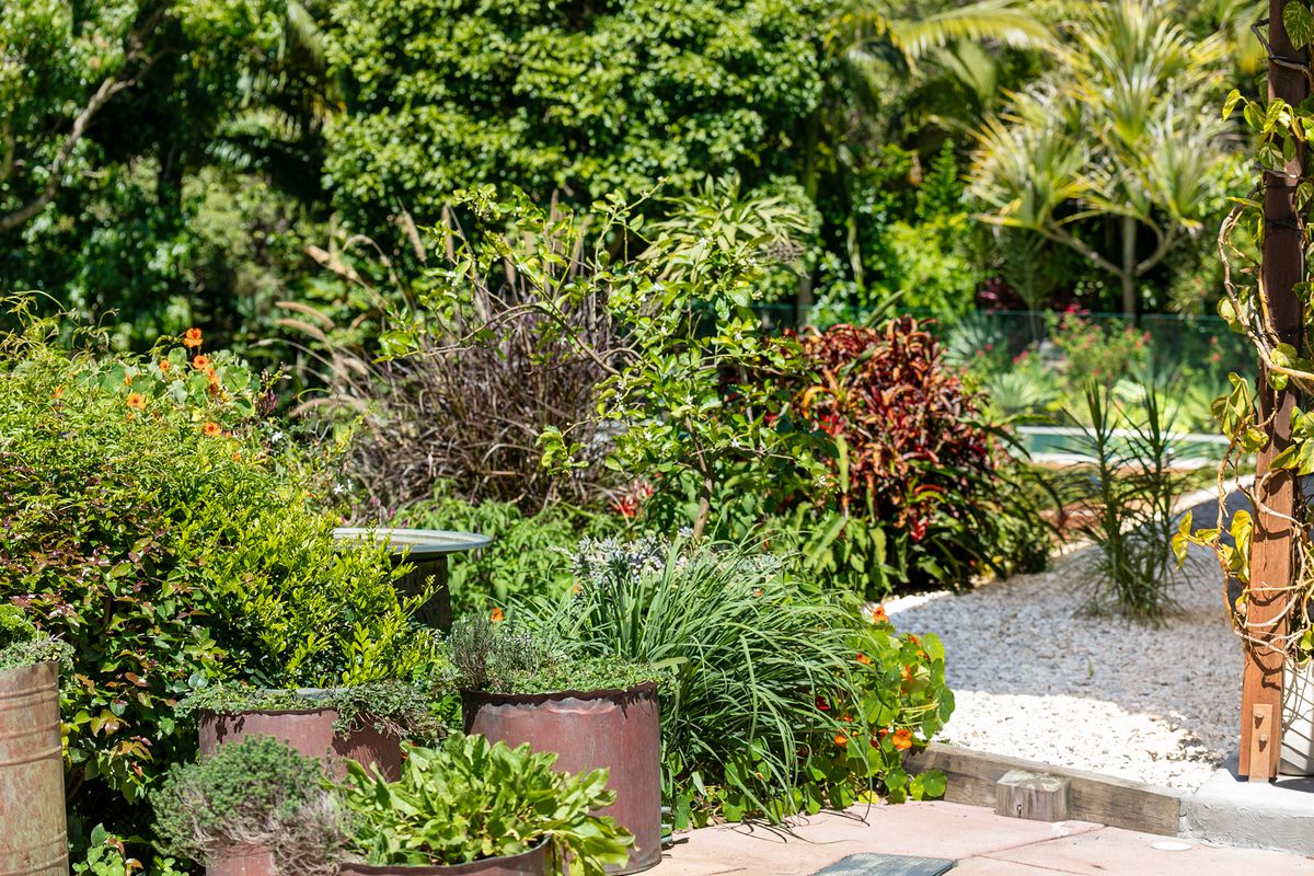 8 Livistona Drive, Doonan