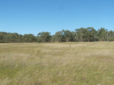 Pockett Road, Pindaroi