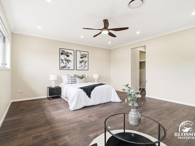 6 Driftwood Street, Box Hill