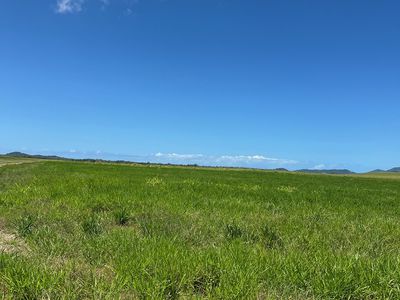 Bruce Highway, Daveson