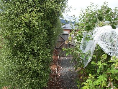 2 Cornelia Close, Ranelagh