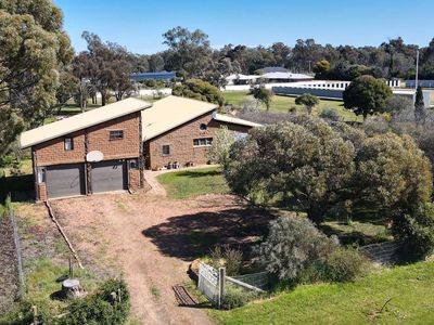 6 Jones Street, Wunghnu