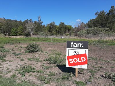 Lot 31, 2558 Beaudesert-Nerang Road, Canungra