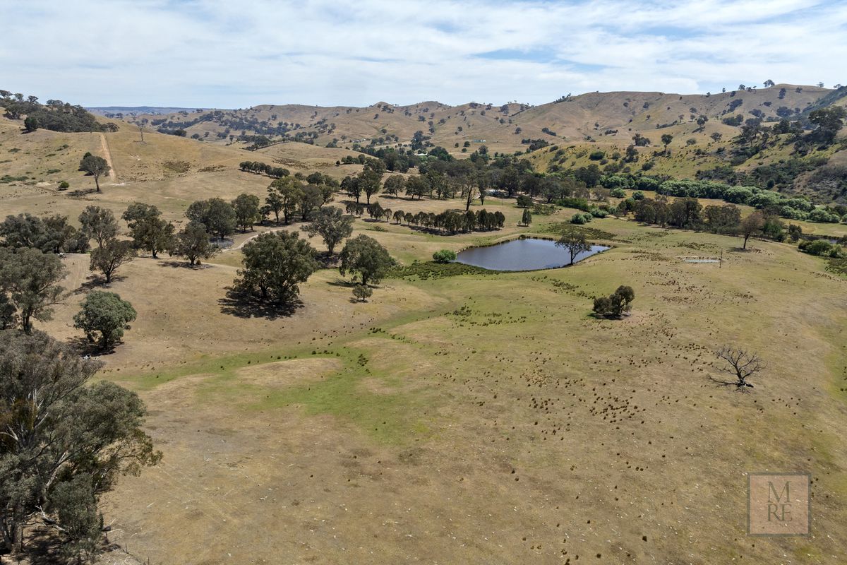 'Dalhaven' via Hells Hole Creek Road, Bonnie Doon