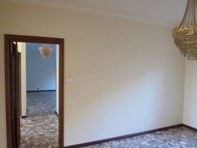 11 Tammar Place, Blackbutt