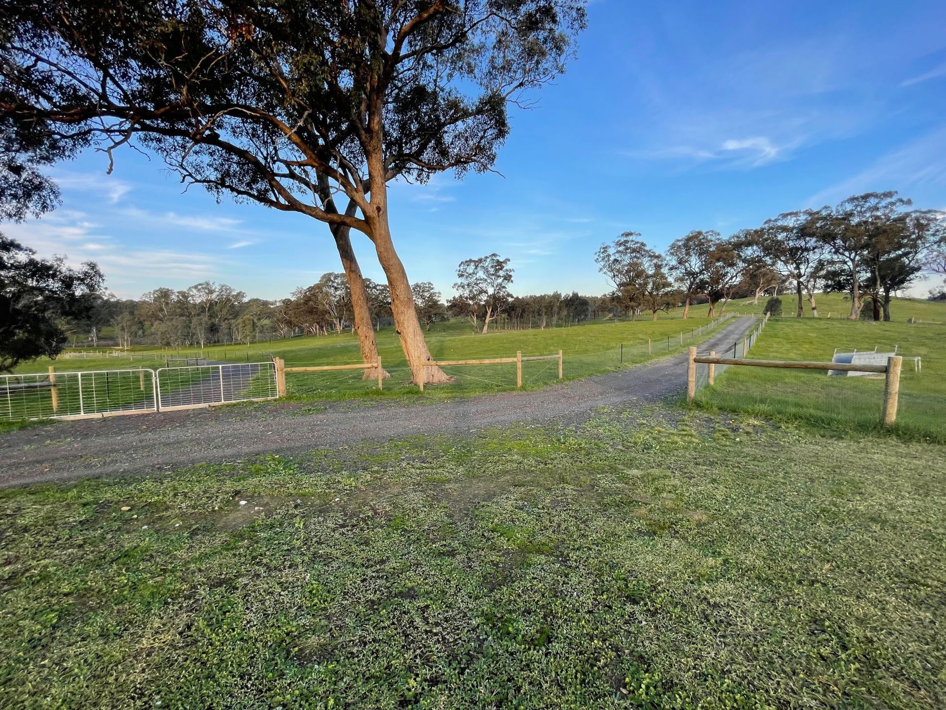 54 Thomas Lane, Heathcote