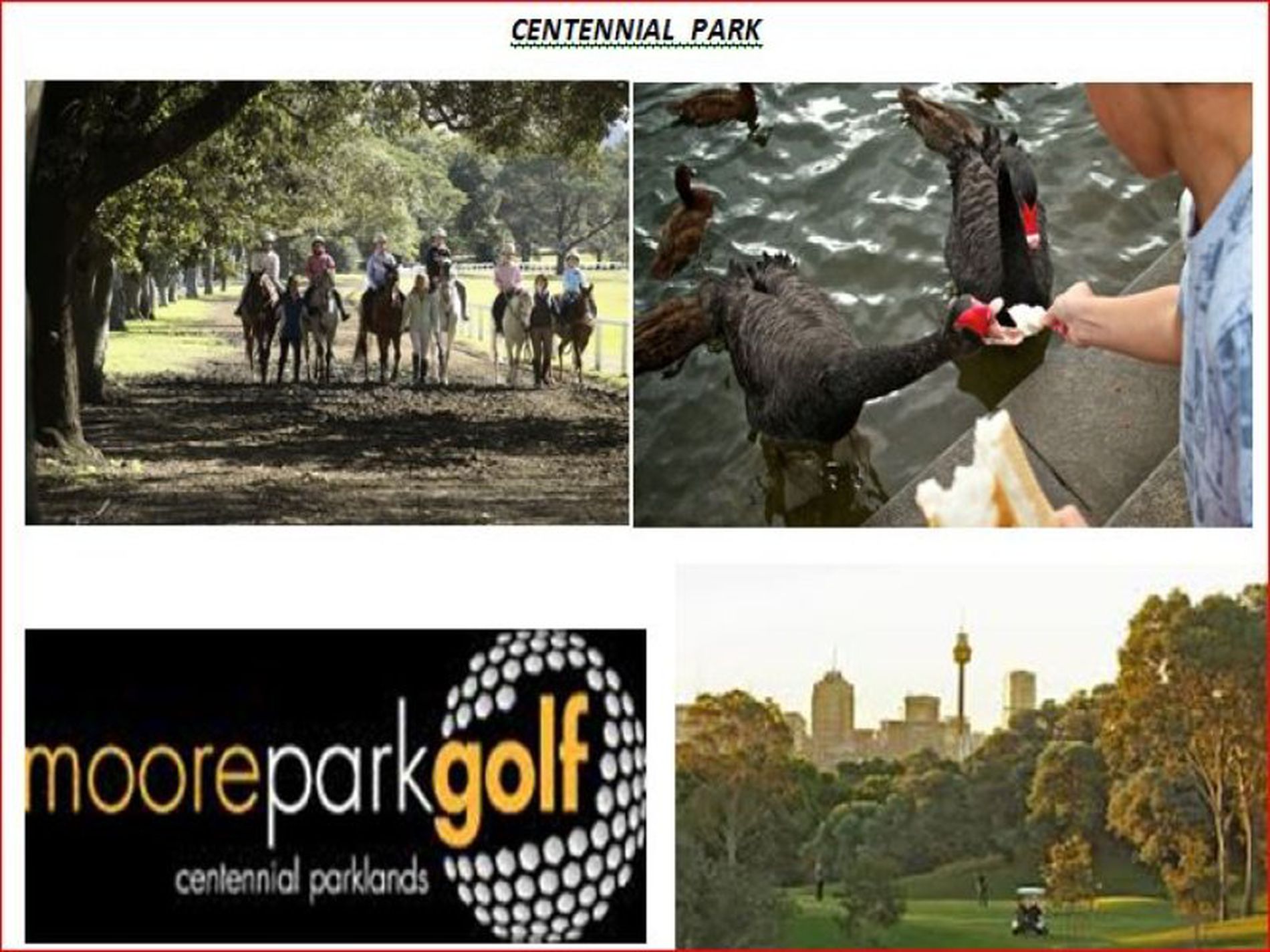 9 / 15 Boronia Street, Kensington