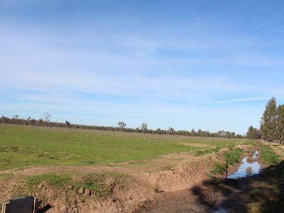 206 Woodards Lane, Barham
