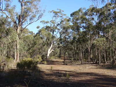 Crown Allotment 127 Nagambie Rushworth Road , Nagambie