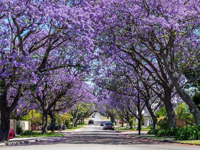 4 / 70 Gairloch Street, Applecross