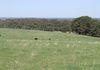 354 Cadia Road, Orange