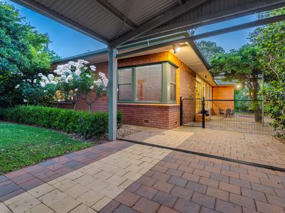 5 Dalton Street, Dubbo
