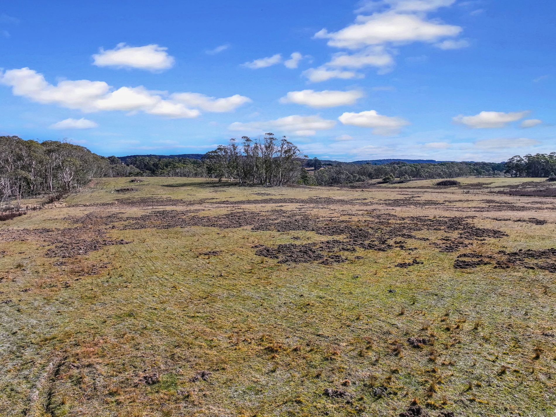 Lot 113 / 443 Back Creek Road, Mongarlowe