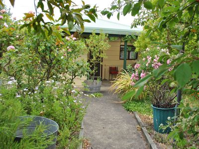 6 Tenth st, Millicent